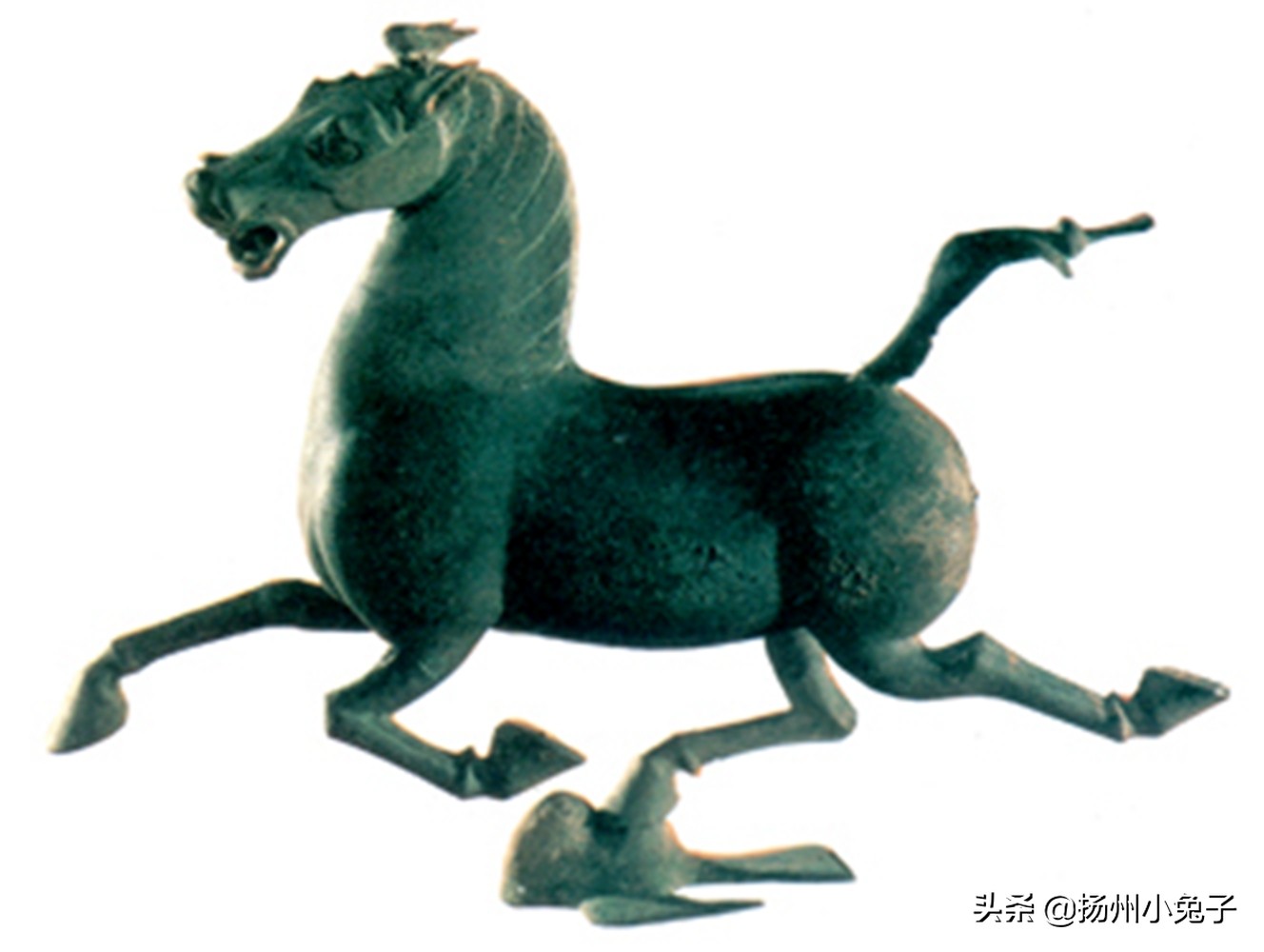 白马非马属于什么马,白马非马为什么不是马