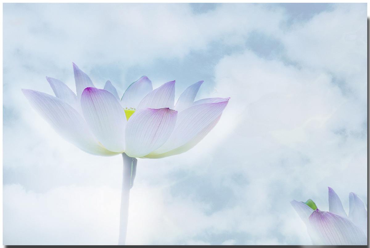 道德经为人处世要修三颗心,道德经里成功的八大心态