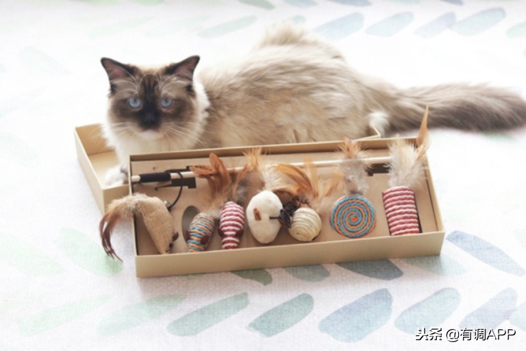 哪怕关店了都舍不得删,这100家淘宝店绝对值得珍藏