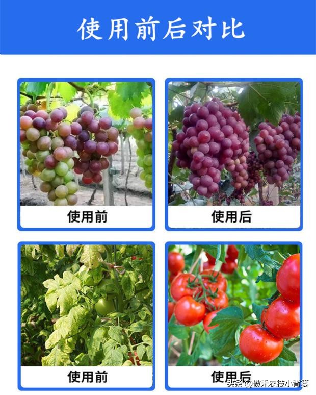 鱼蛋白肥料怎么辨别真假,进口鱼蛋白肥料为什么便宜