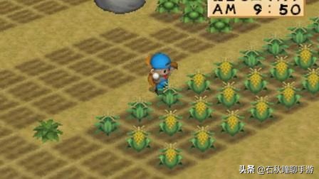 星露谷牧场物语哪个好玩,星露谷和牧场物语不一样的地方