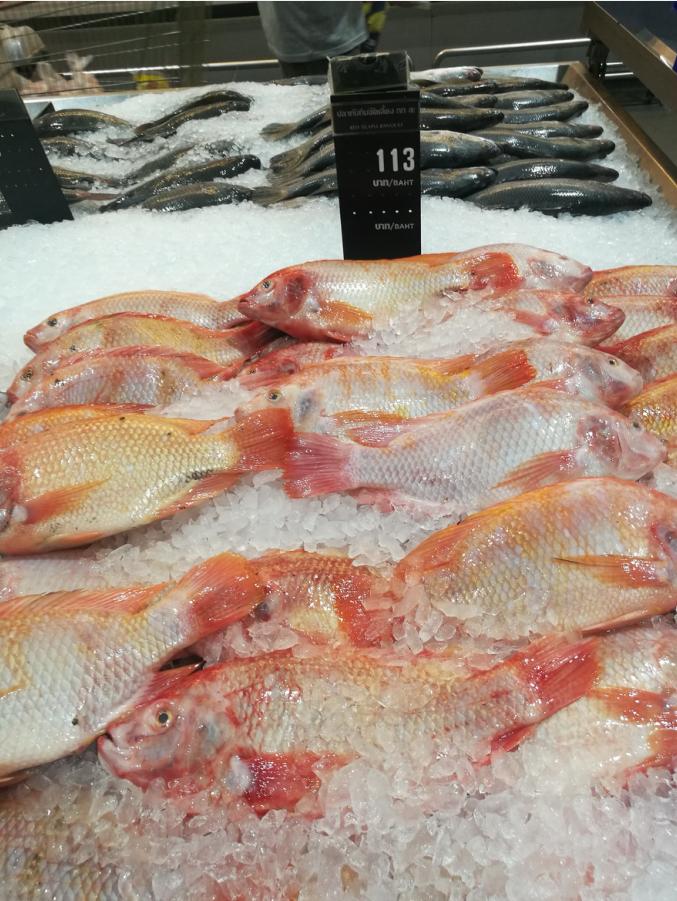 泰国普吉岛斯米兰岛旅游攻略,泰国旅游普吉岛的夏天皮皮岛浮潜