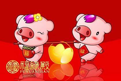 本命年心理学,本命年怎么化解运势