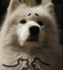 如何将ppt做的简洁明了又好看,ppt做得慢怎么解决