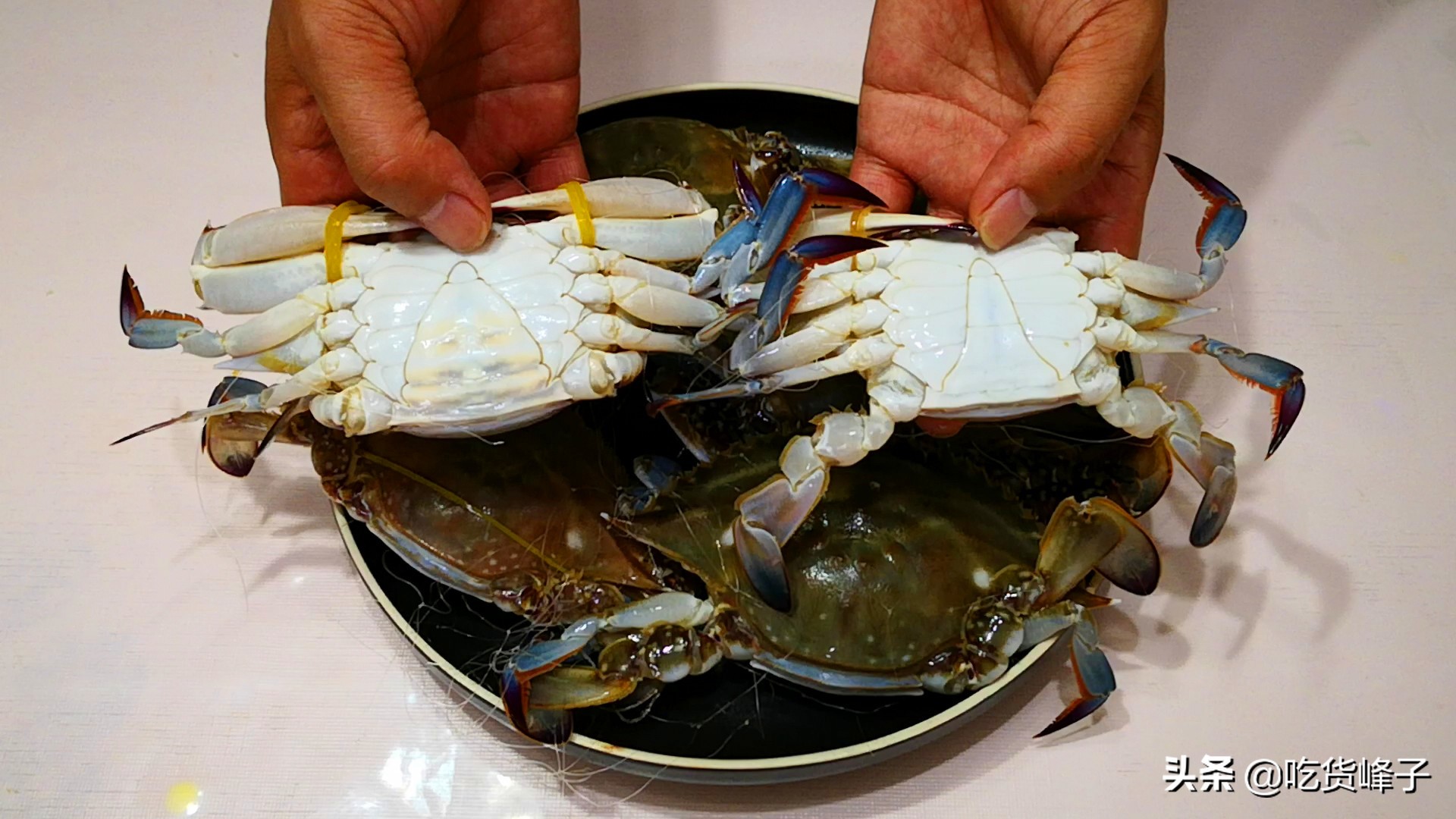 蒸螃蟹教你一招不掉腿不流蟹黄,蒸螃蟹的方法图解窍门