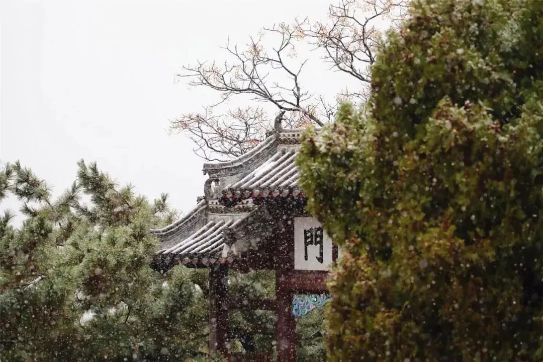 等一场雪，邂逅最美山“冬”｜冬游齐鲁