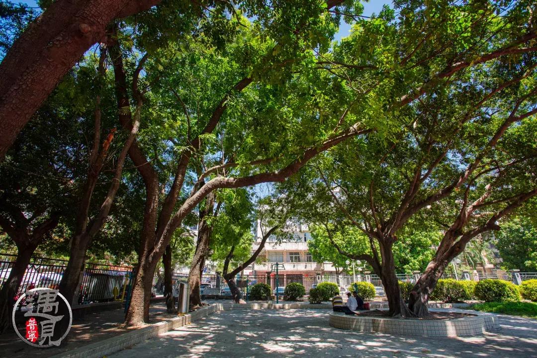 普宁流沙中华新城旧貌,普宁人民广场改造