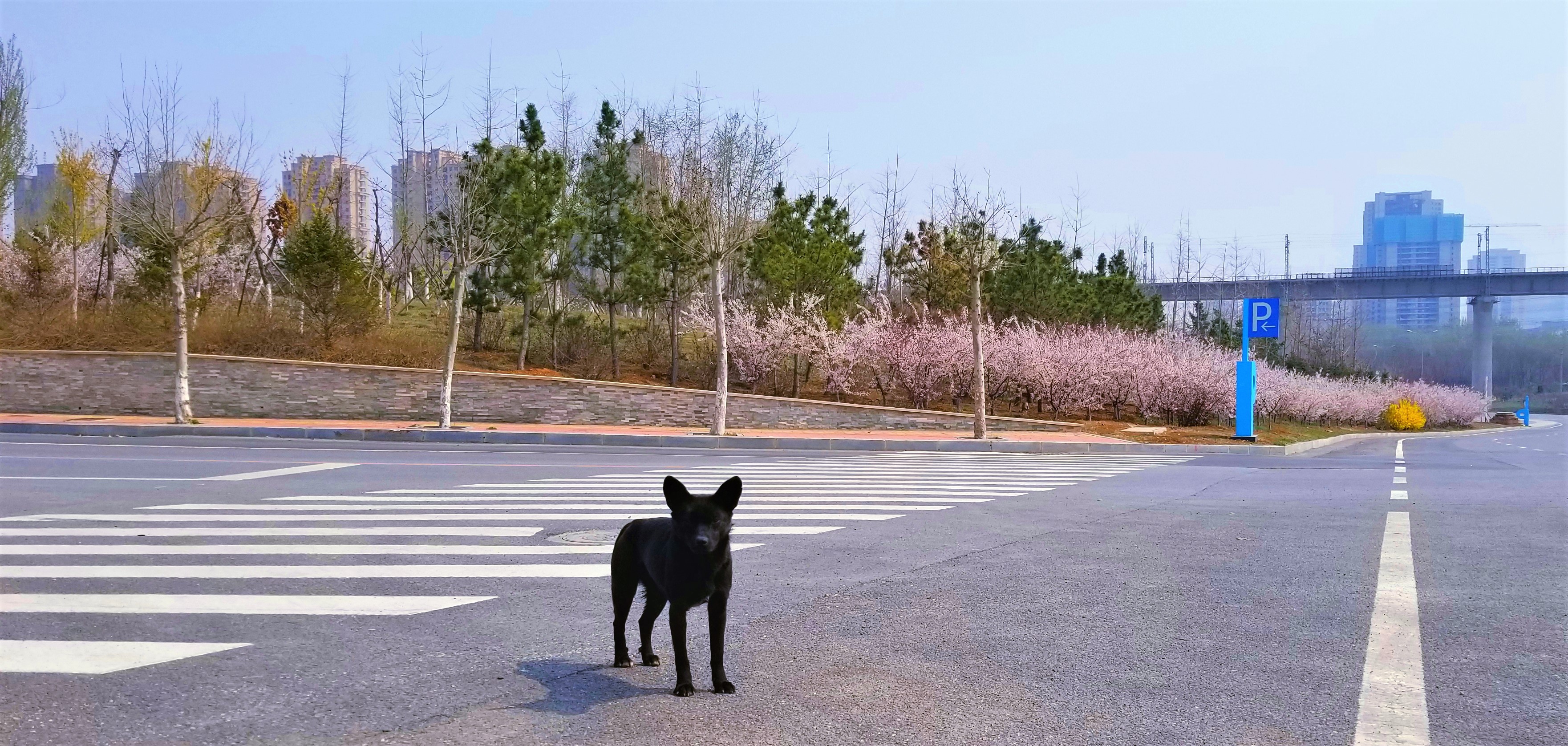 景美人少公园,景美人少适合去哪里旅游