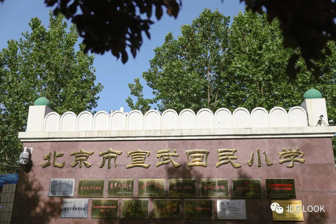 这就是牛完整视频,北京市牛街