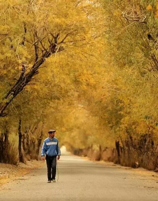 喀什新疆最迷人的千年之城,新疆广阔的天地令人心旷神怡