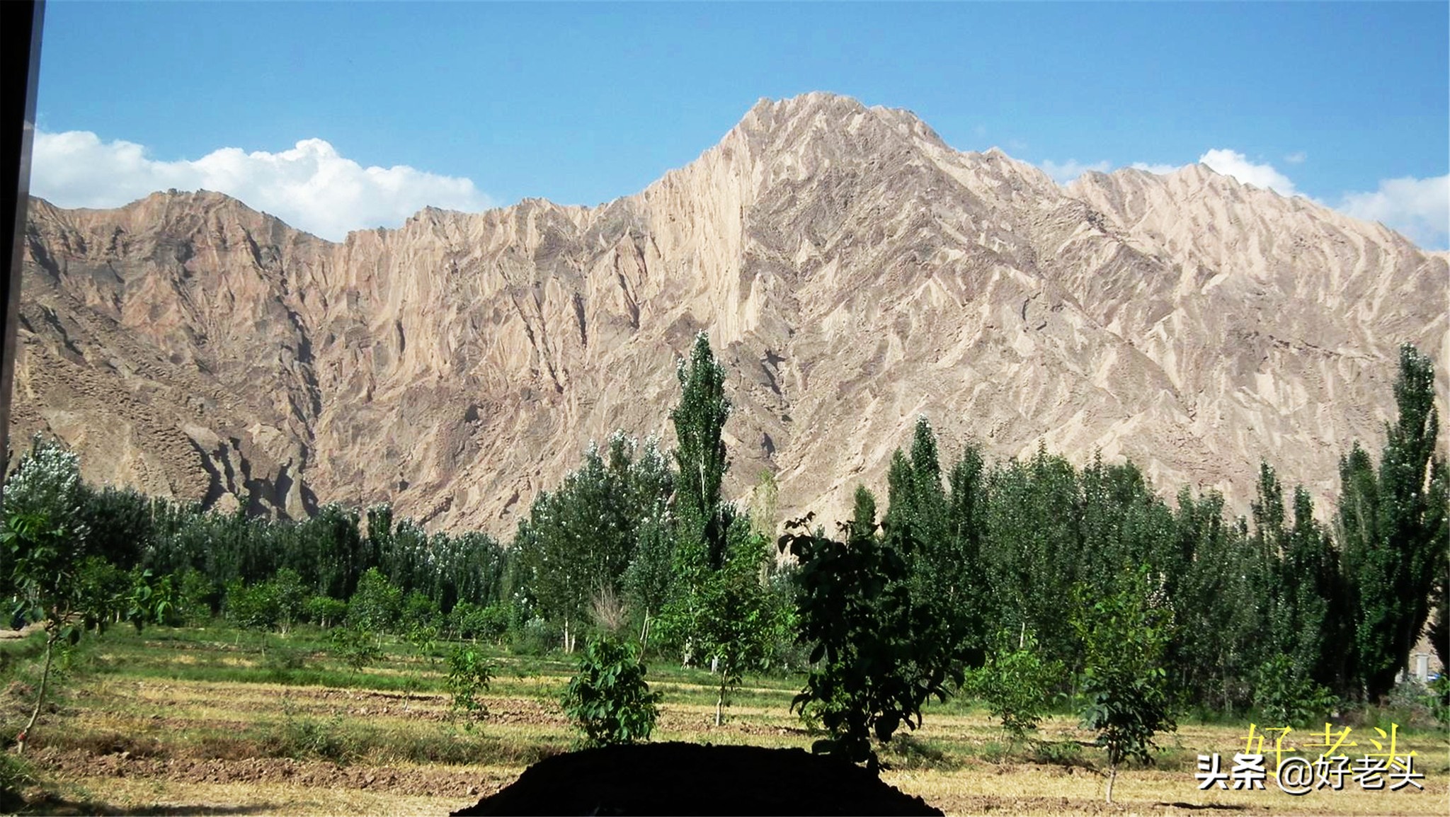 库尔勒轮台胡杨林风景区,胡杨林景区轮台