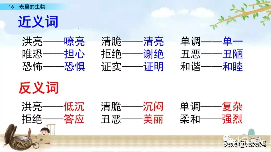 六年级下册语文表里的生物朗诵,六年级下册表里的生物小练笔400字