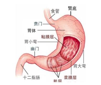 针对胃炎可联合用药有哪些,胃炎联合用药大全