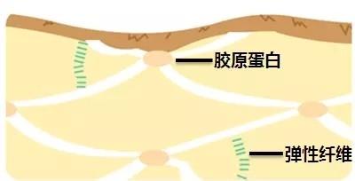 轻松搞定脸上的干纹细纹,脸上干纹细纹比较多怎么办
