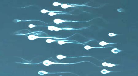 年龄大了精子数量会减少吗,精子数量怎么突然下降了