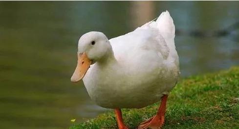 我们就是死不悔改的人,你愿意改变吗?