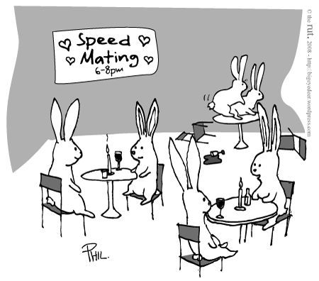 杀死兔子的方法,杀死兔子有什么后果