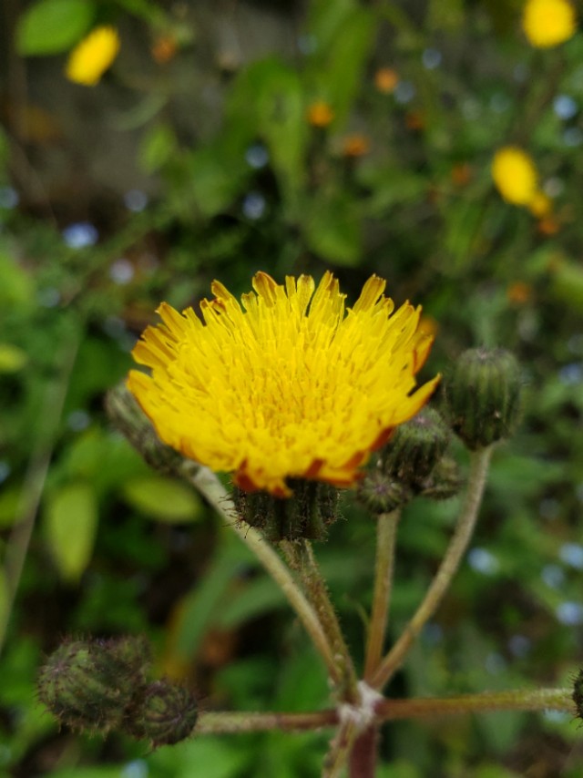 悠闲的时光惬意的生活,一个人的惬意时光诗词