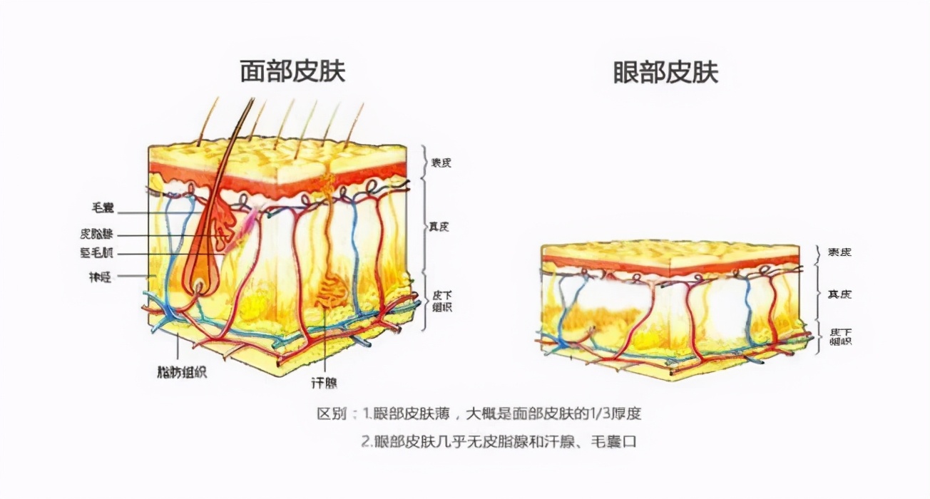 多层眼皮是如何修复的,多层眼皮该怎么消除