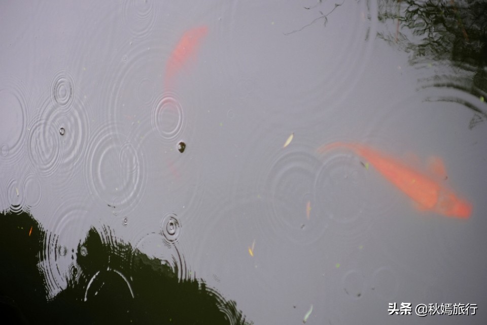 苏州古典园林风景欣赏,常熟江南园林