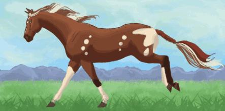 “gaydog”的意思是同性恋狗？gaydog何罪啊？