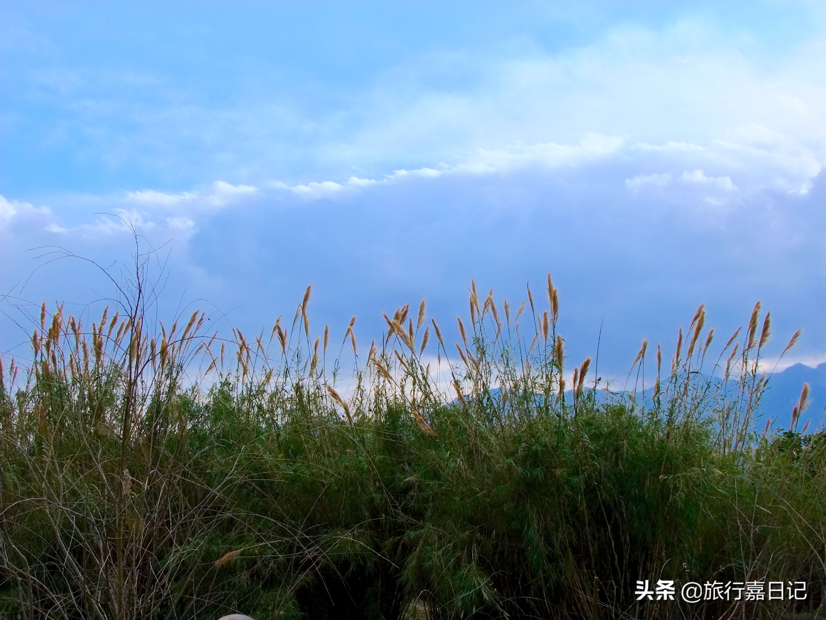 她去了三次大理，却说还没玩够，可网友说：太商业化不去