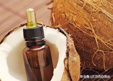 椰子油的10种用法,椰子油的营养功效是什么