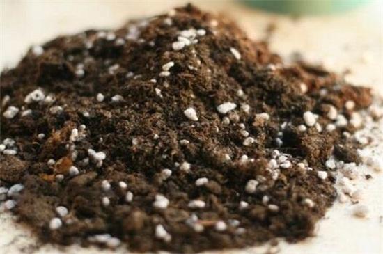 文玩葫芦的种植和管理,亚亚葫芦种植管理技术