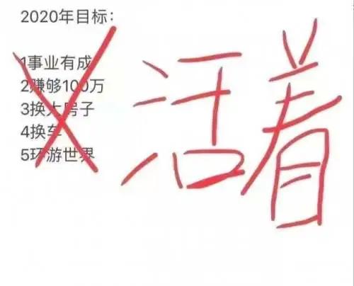 2020年豆瓣评分8分以上的剧,2020年豆瓣高分电影剧集排行榜