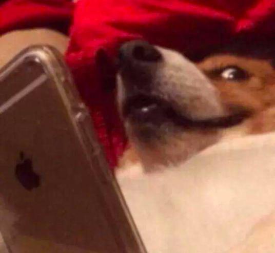 美国留学生打劫录像,留学生趁火打劫奢侈品