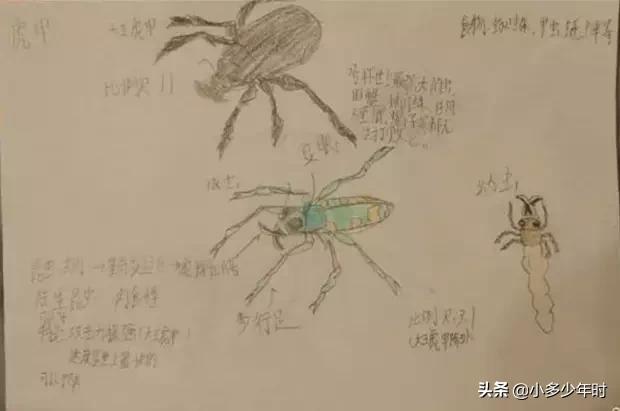 我是如何培养孩子阅读的,我是怎样培养孩子阅读的