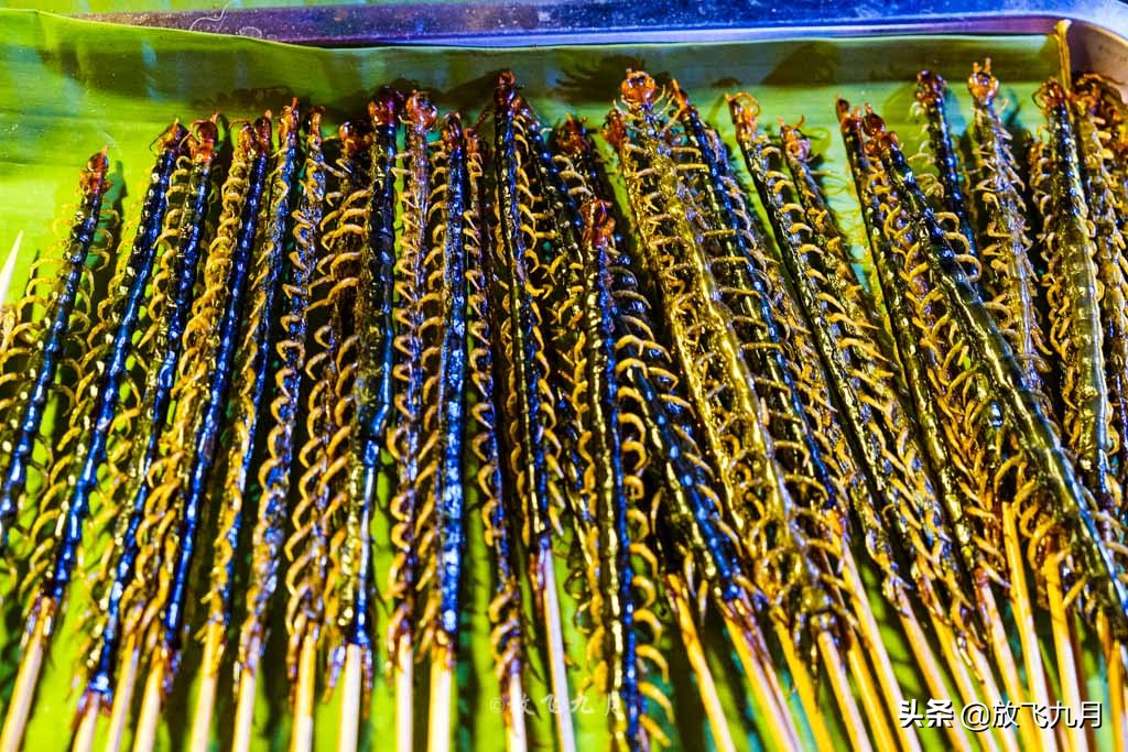 西双版纳必玩三个景点旅游攻略,西双版纳主要景点自由行