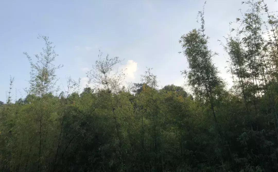 越过山丘才发现它如此优秀,越过山丘发现一无所有