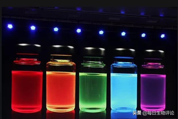 量子点最新技术,量子点生物标记