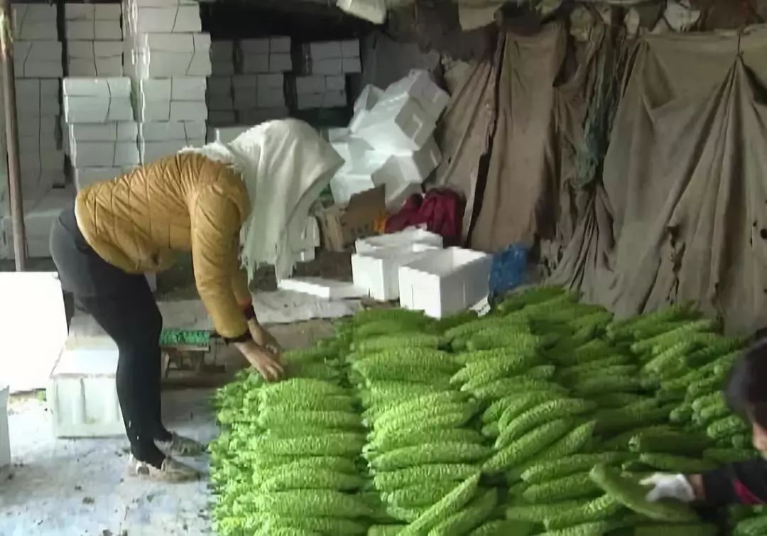 谁认识李翠花和王文忠！这俩寿光人做了这种事情之后竟然……