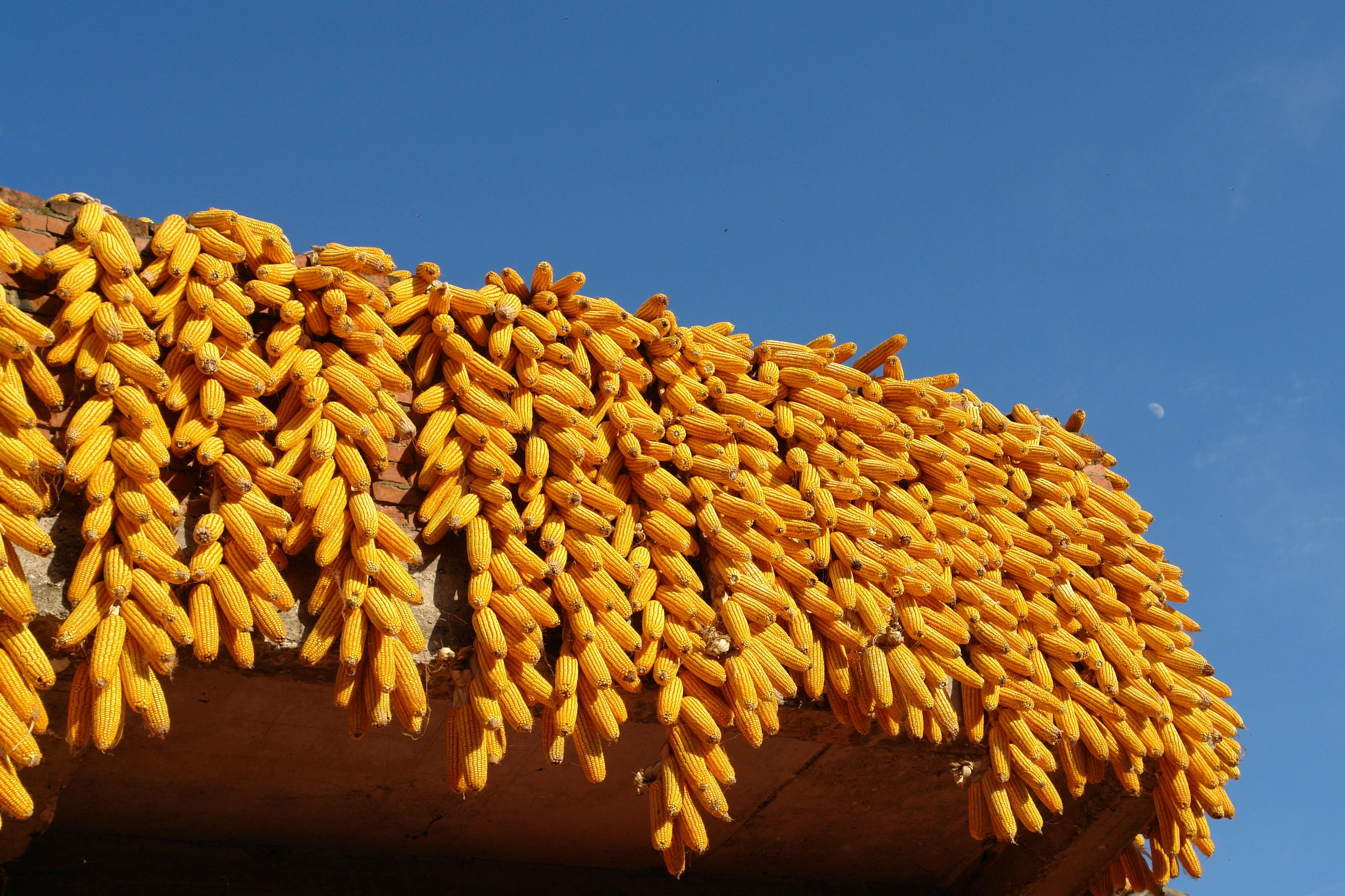 让数据说话变现实,让数据自己说话