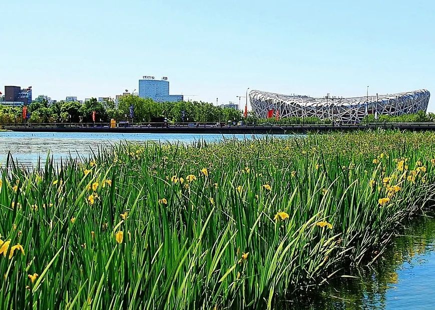 出行安全宝典,北京旅游安全攻略