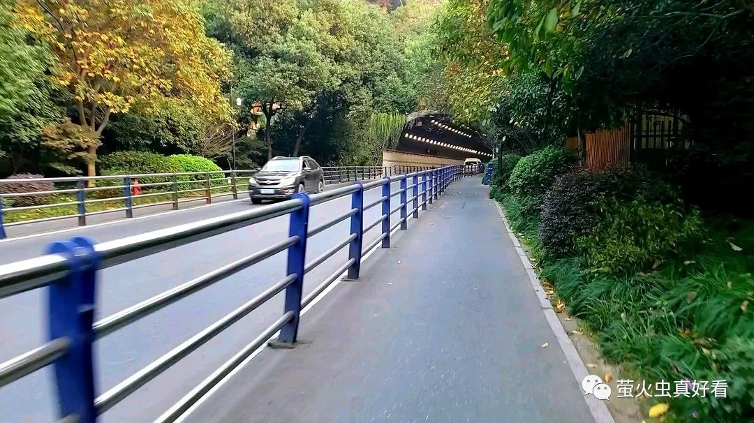 当微薄的力量相继绽放