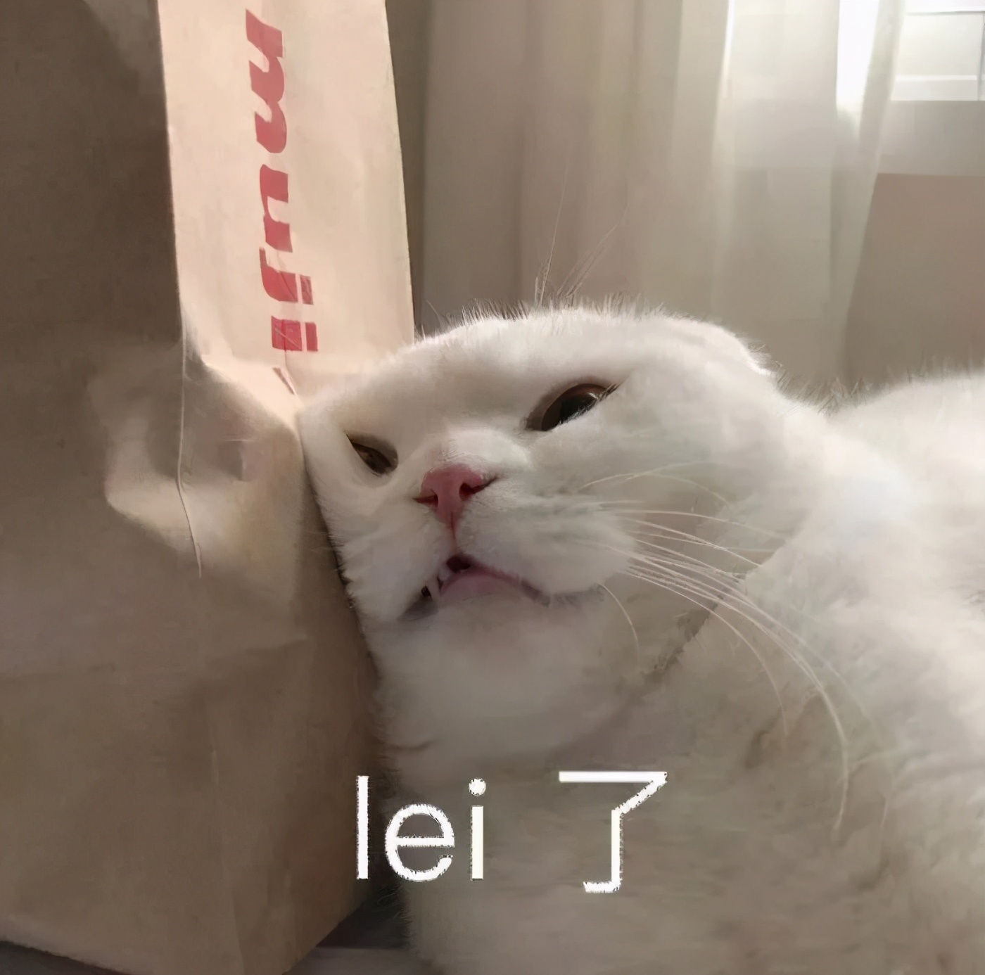 岛内租房攻略来啦!厦门岛内大*迁拆**!我们这些“租房人”要搬去哪