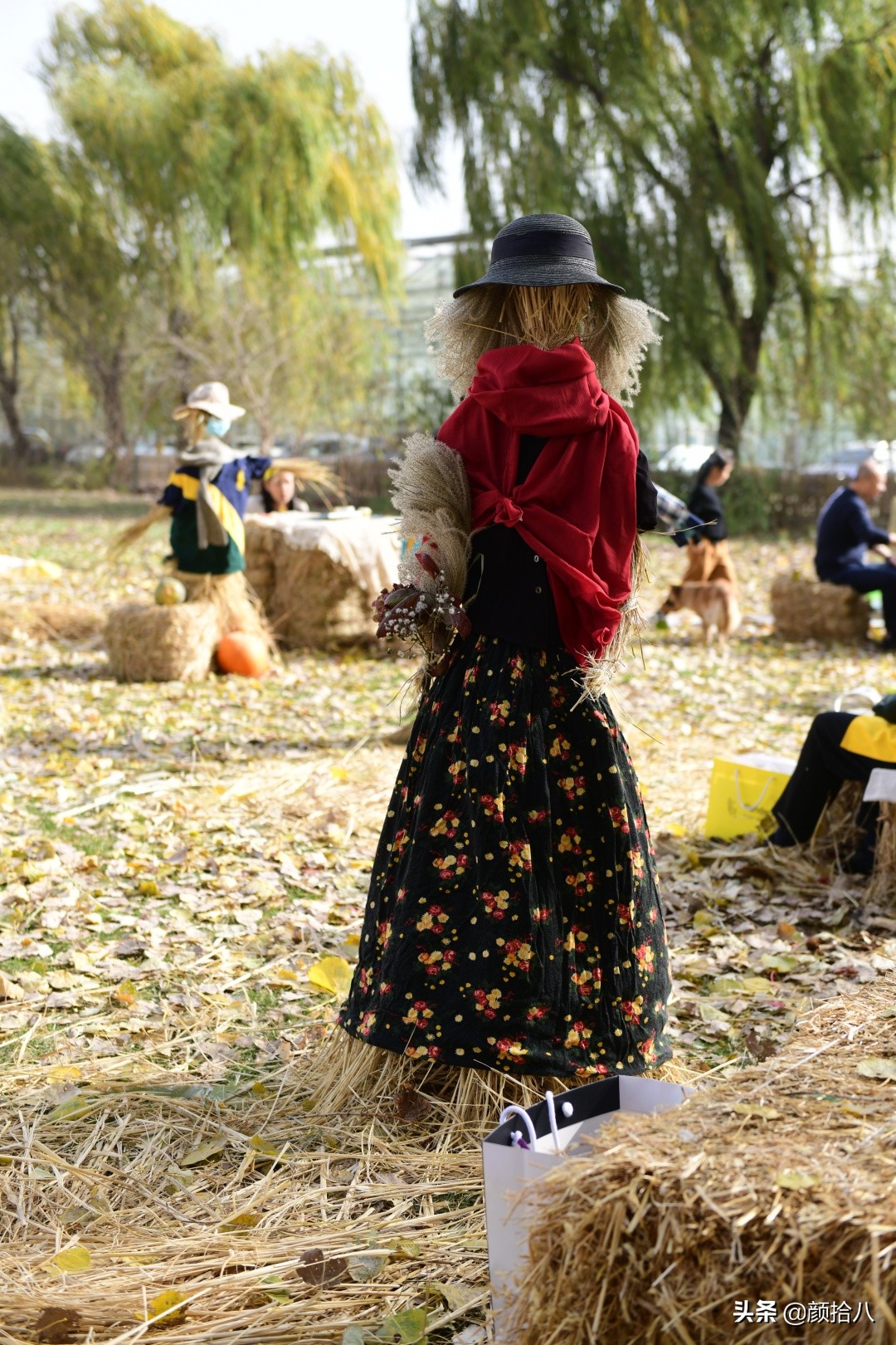 没有比利时花园游,来点比利时啤酒吧|随笔