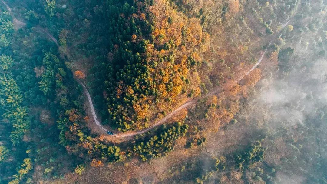 全球最大的城市森林公园,全球最绿色的城市