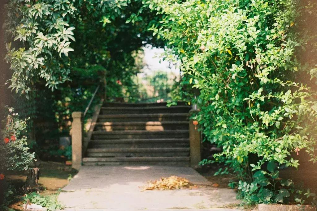 高效摄影,摄影慢动作