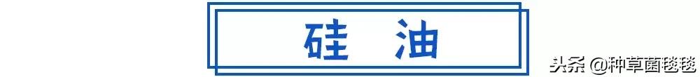 从小用到大的它,竟然成了今年爆款?