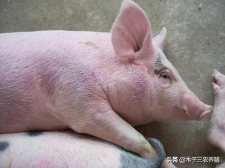 姣嶇尓鏈夐檮绾㈢粏鑳炰綋寮曡捣浠旂尓鎷夌█,鍝轰钩浠旂尓鎰熸煋闄勭孩缁嗚優浣撶殑鐥囩姸