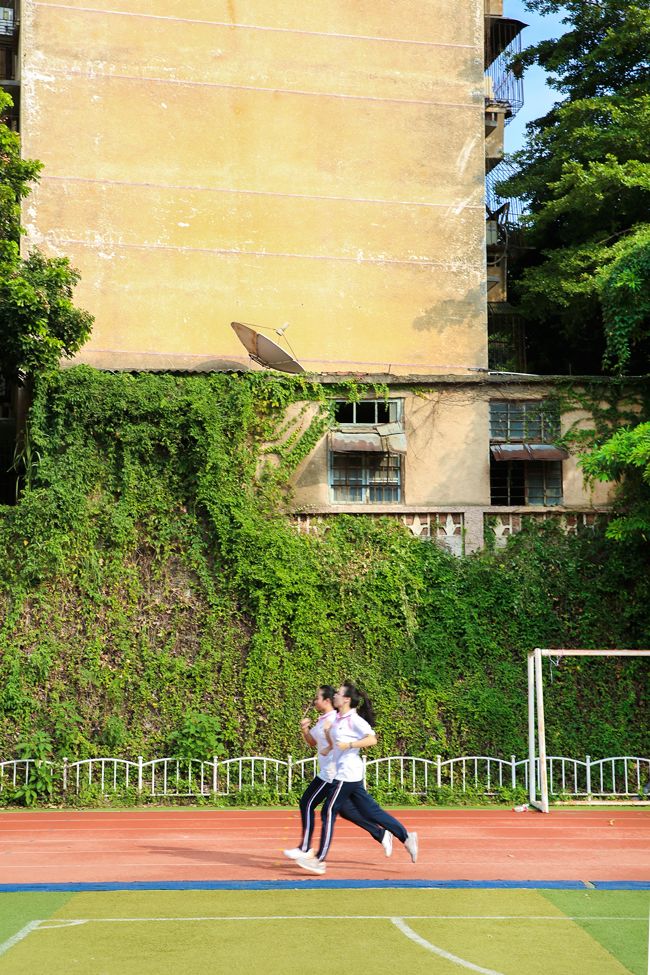 任尔东西南北风配图,任尔东西南北风我亦巍然不动