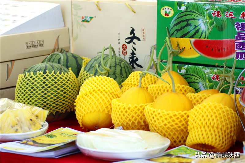 水果之乡陕西大荔,不讲理的大荔县典故