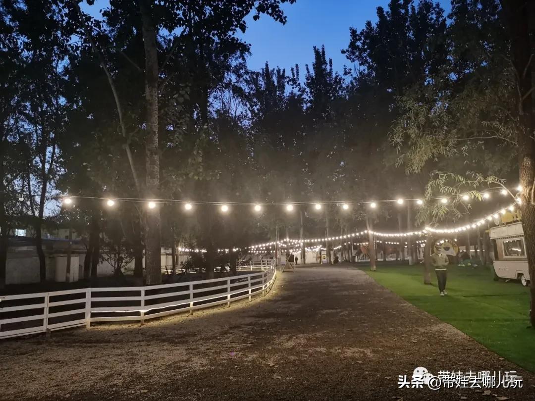 北京五环内新开萌宠乐园，除了喂动物，还能玩大滑梯、免费享帐篷