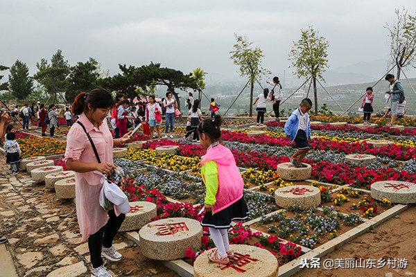 茶基地研学旅行,济南研学茶文化