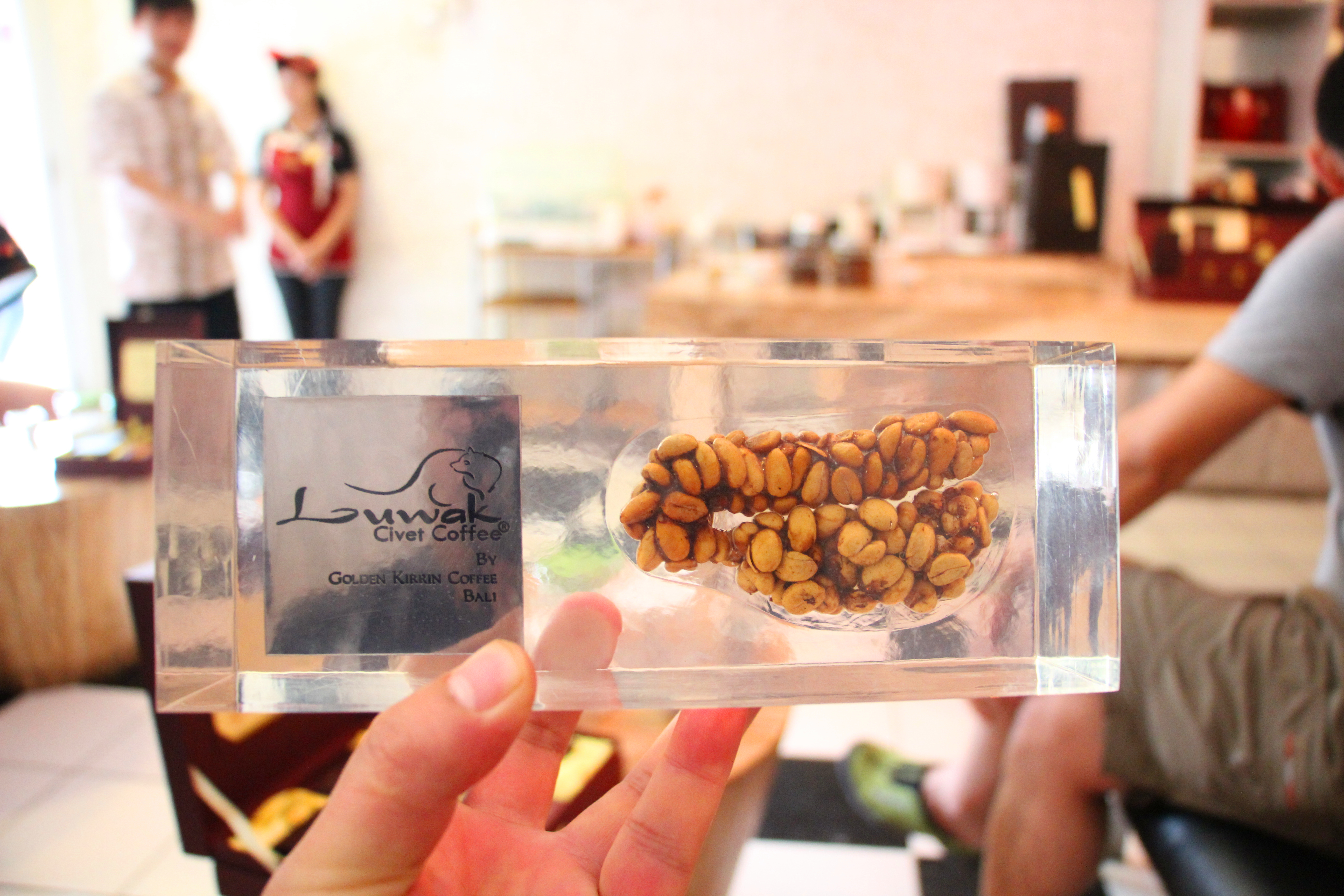 天堂之岛巴厘岛，半自由行攻略和必去景点