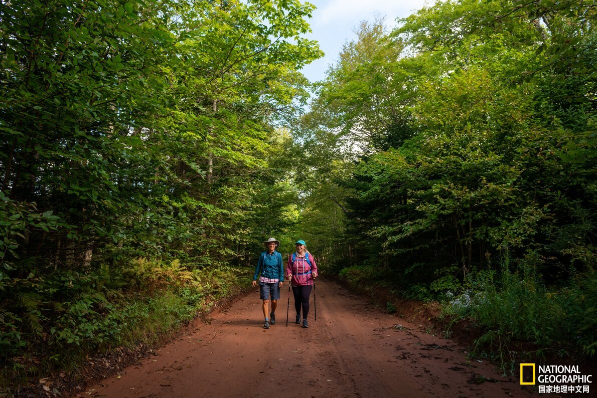 加拿大爱德华王子岛游记,爱德华王子岛旅游攻略